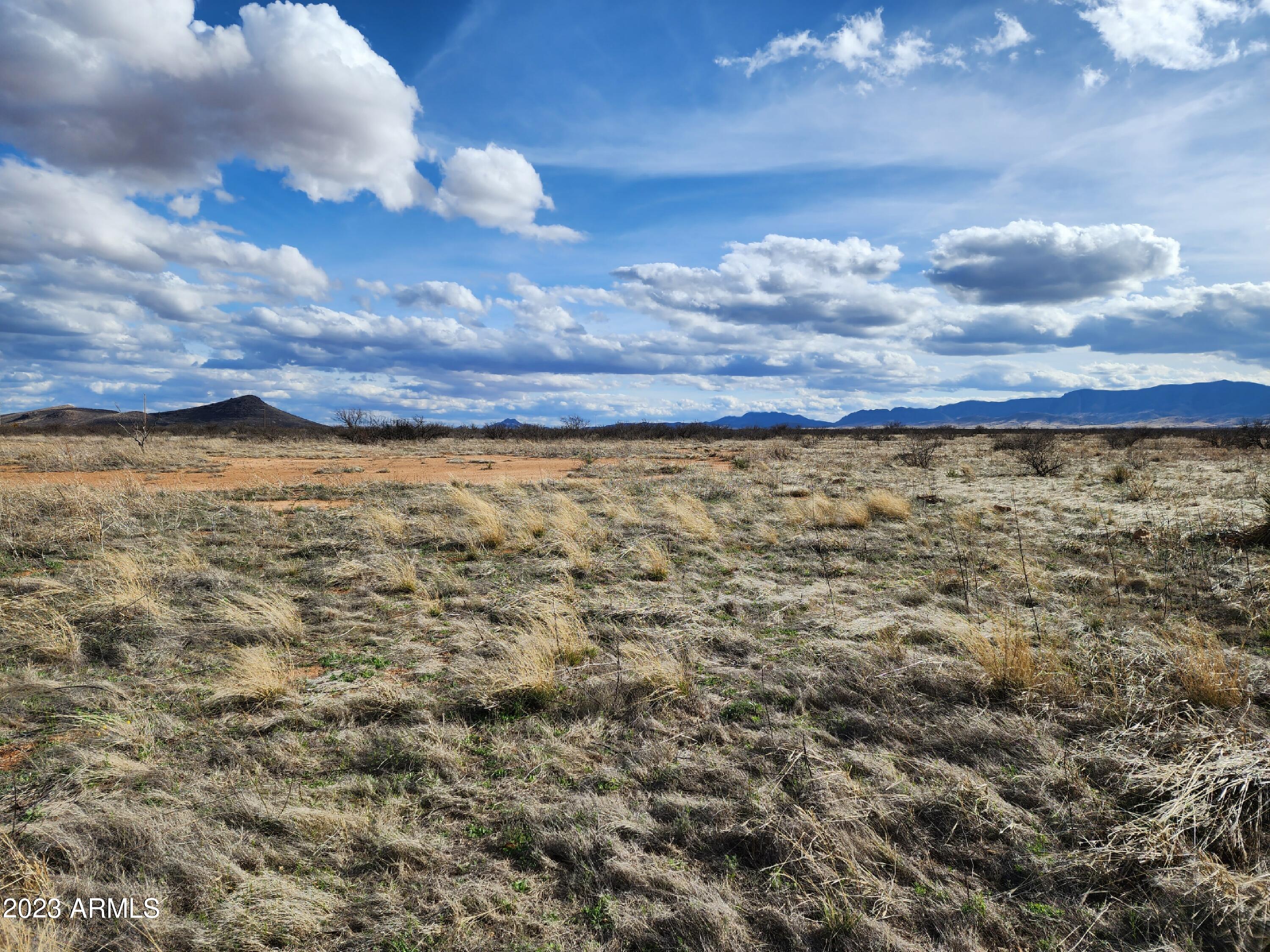 1.65-acres Rising Street, Unit 14 Pearce, AZ 85625 - Photo 5 of 12 20230320_161823