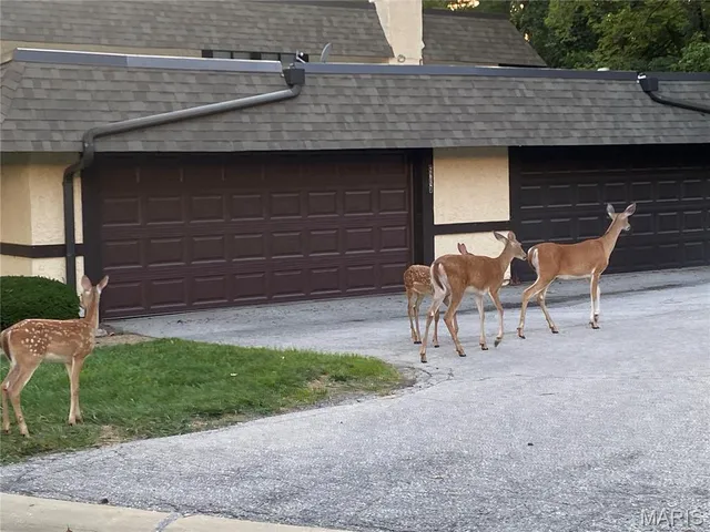 $269,900 | 2623 Hampton Road, Unit A, St. Charles, MO 63303