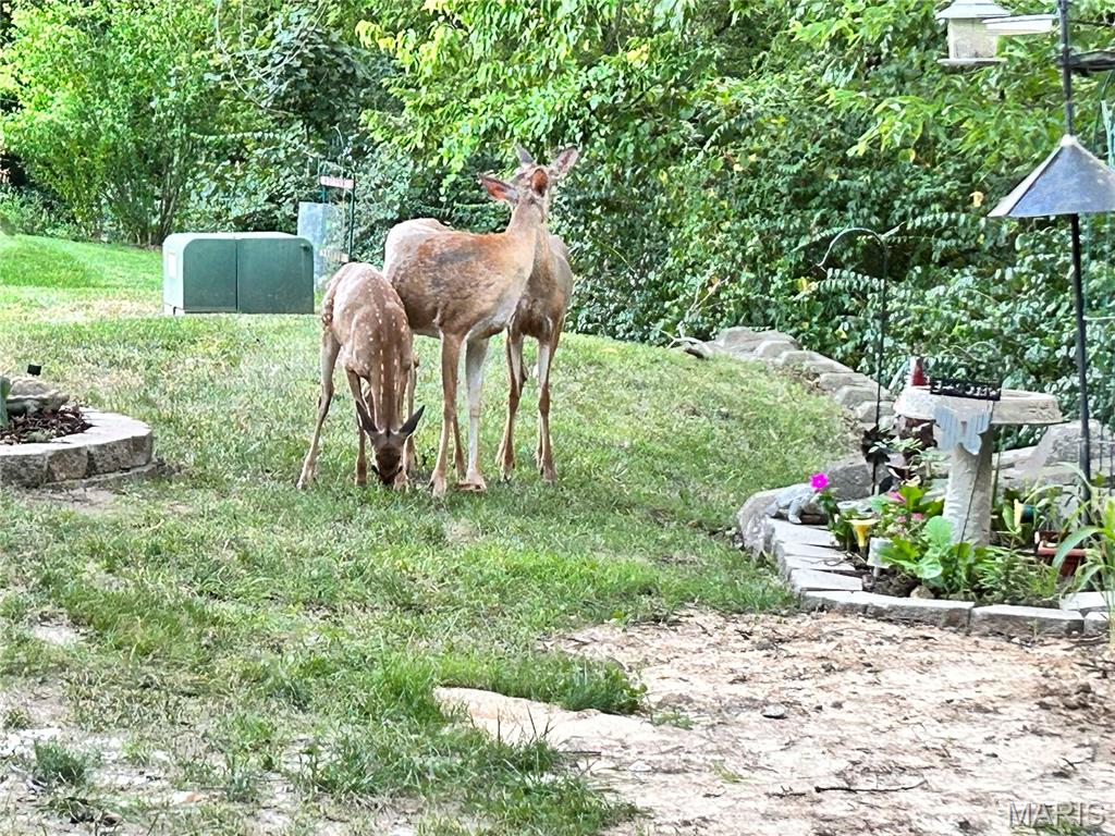 2623 Hampton Road, Unit A St. Charles, MO 63303 - Photo 33 of 33