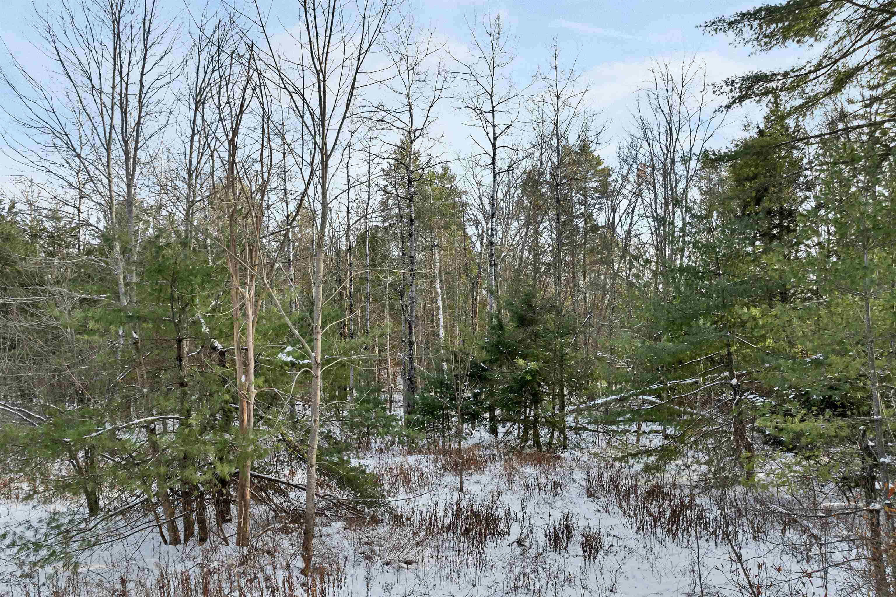 61 Freeman Hall Road Nottingham, NH 03290 - Photo 10 of 17