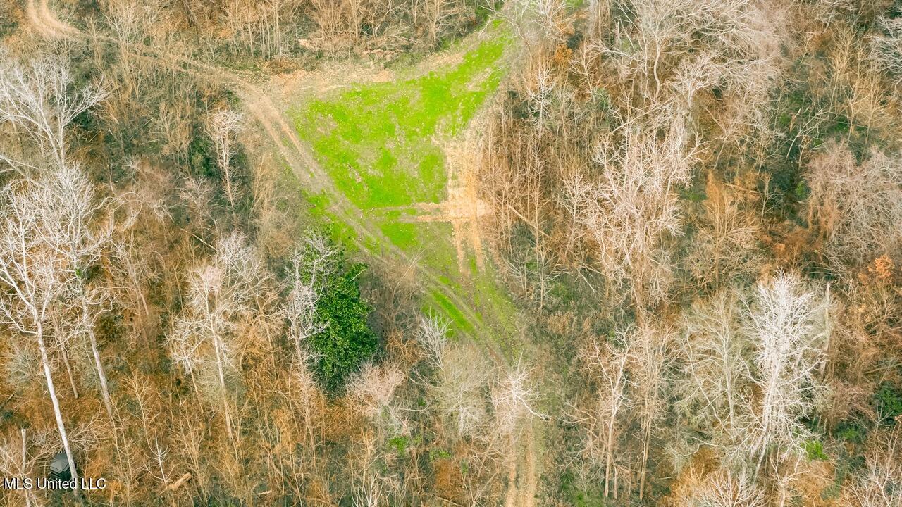 4199 Shiloh Road Port Gibson, MS 39150 - Photo 24 of 50 G107_C019_20251231_R00762 Large