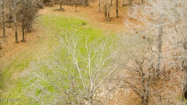 $9,250,000 | 4199 Shiloh Road, Port Gibson, MS 39150