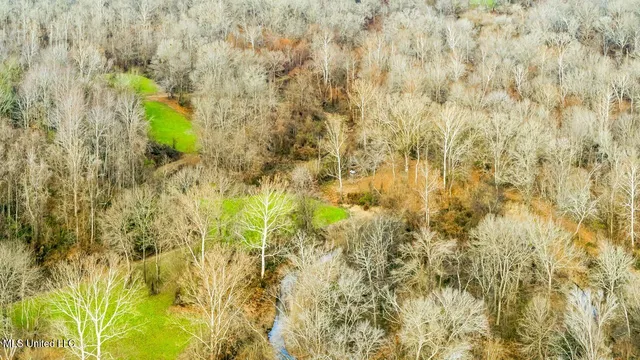 $9,250,000 | 4199 Shiloh Road, Port Gibson, MS 39150