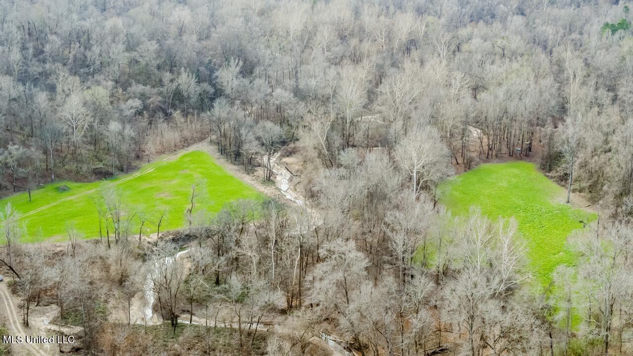 4199 Shiloh Road Port Gibson, MS 39150 - Photo 34 of 50 G107_C016_20251231_R00366 Large