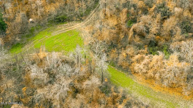 $9,250,000 | 4199 Shiloh Road, Port Gibson, MS 39150