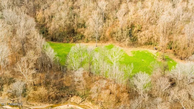 $9,250,000 | 4199 Shiloh Road, Port Gibson, MS 39150