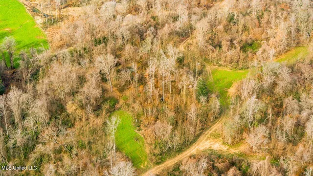 $9,250,000 | 4199 Shiloh Road, Port Gibson, MS 39150