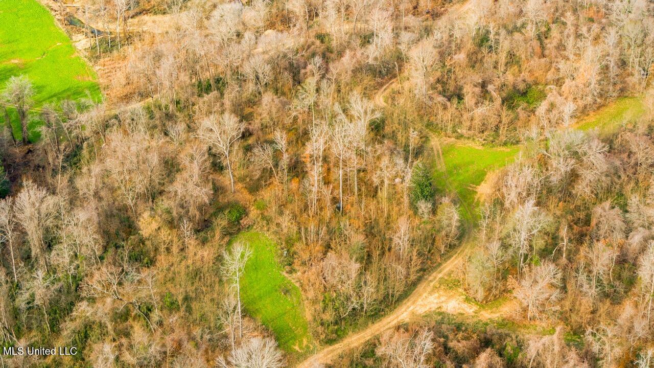 4199 Shiloh Road Port Gibson, MS 39150 - Photo 39 of 50 G107_C020_20251231_R00372 Large