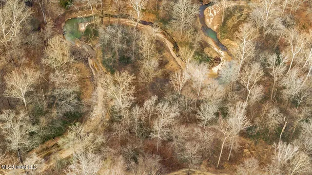 $9,250,000 | 4199 Shiloh Road, Port Gibson, MS 39150