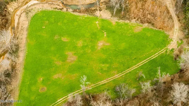 $9,250,000 | 4199 Shiloh Road, Port Gibson, MS 39150