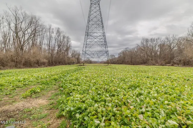 $9,250,000 | 4199 Shiloh Road, Port Gibson, MS 39150