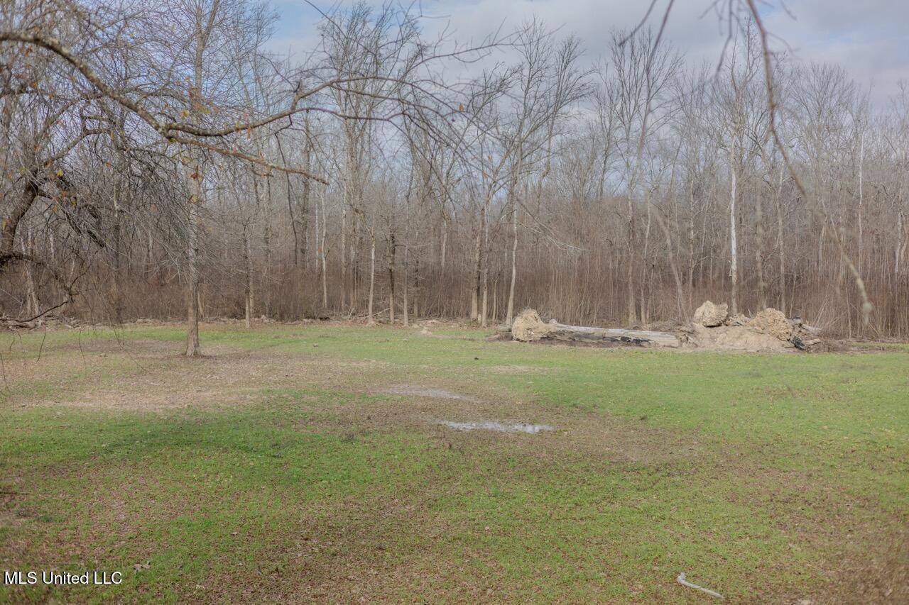 4199 Shiloh Road Port Gibson, MS 39150 - Photo 46 of 50 0M3A2491 Large