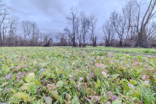 $9,250,000 | 4199 Shiloh Road, Port Gibson, MS 39150