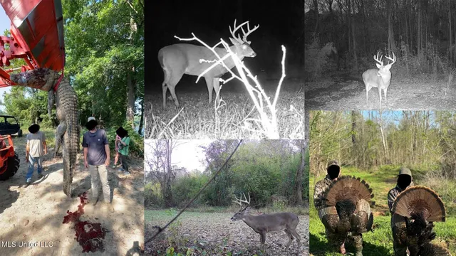 $9,250,000 | 4199 Shiloh Road, Port Gibson, MS 39150