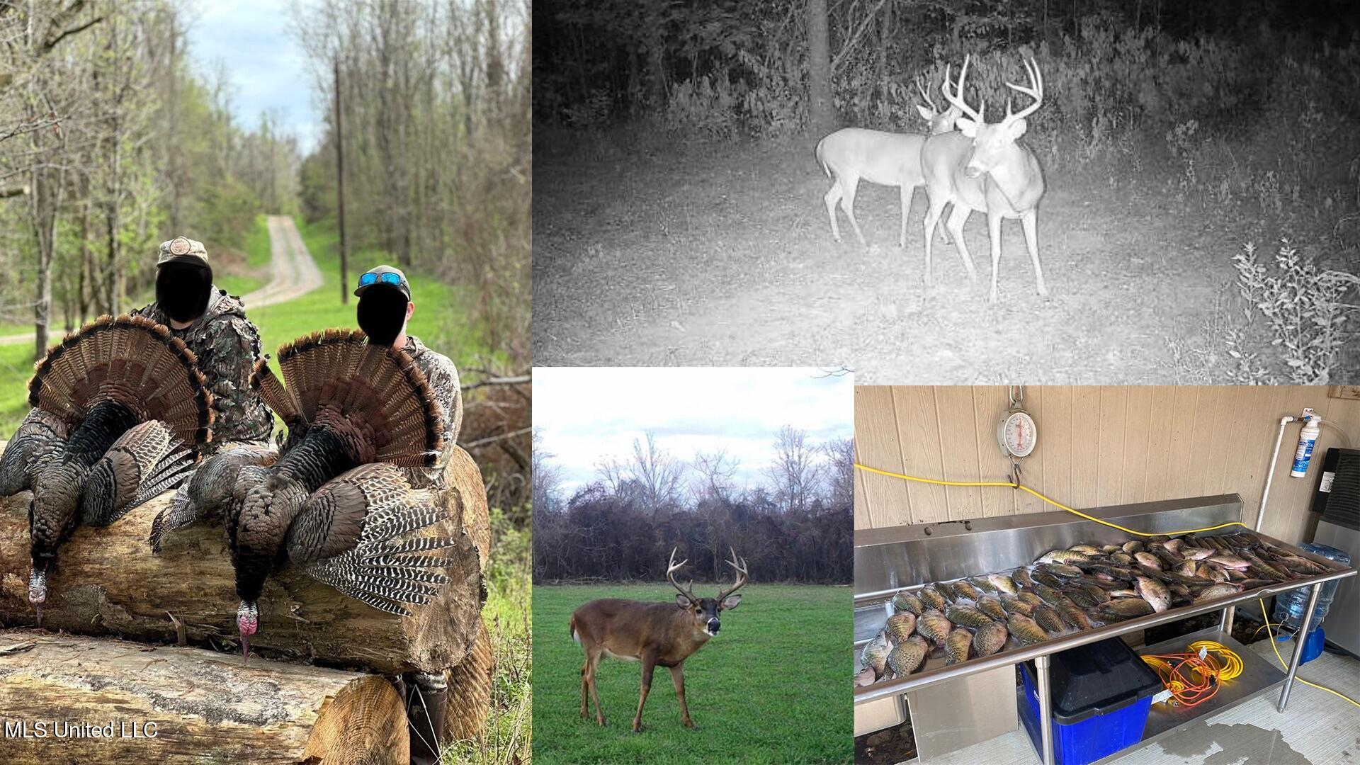 4199 Shiloh Road Port Gibson, MS 39150 - Photo 50 of 50 db 3