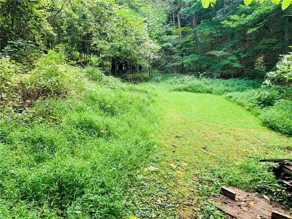 235 Weigles Hill Road Elizabeth, PA 15037 - Photo 12 of 25 1.25 acre wooded lot