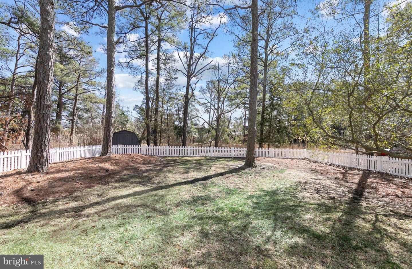 21 Cedar Road Rehoboth Beach, DE 19971 - Photo 48 of 59 a view of a tree in the middle of a yard