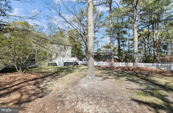 a view of a house with a plants and a tree