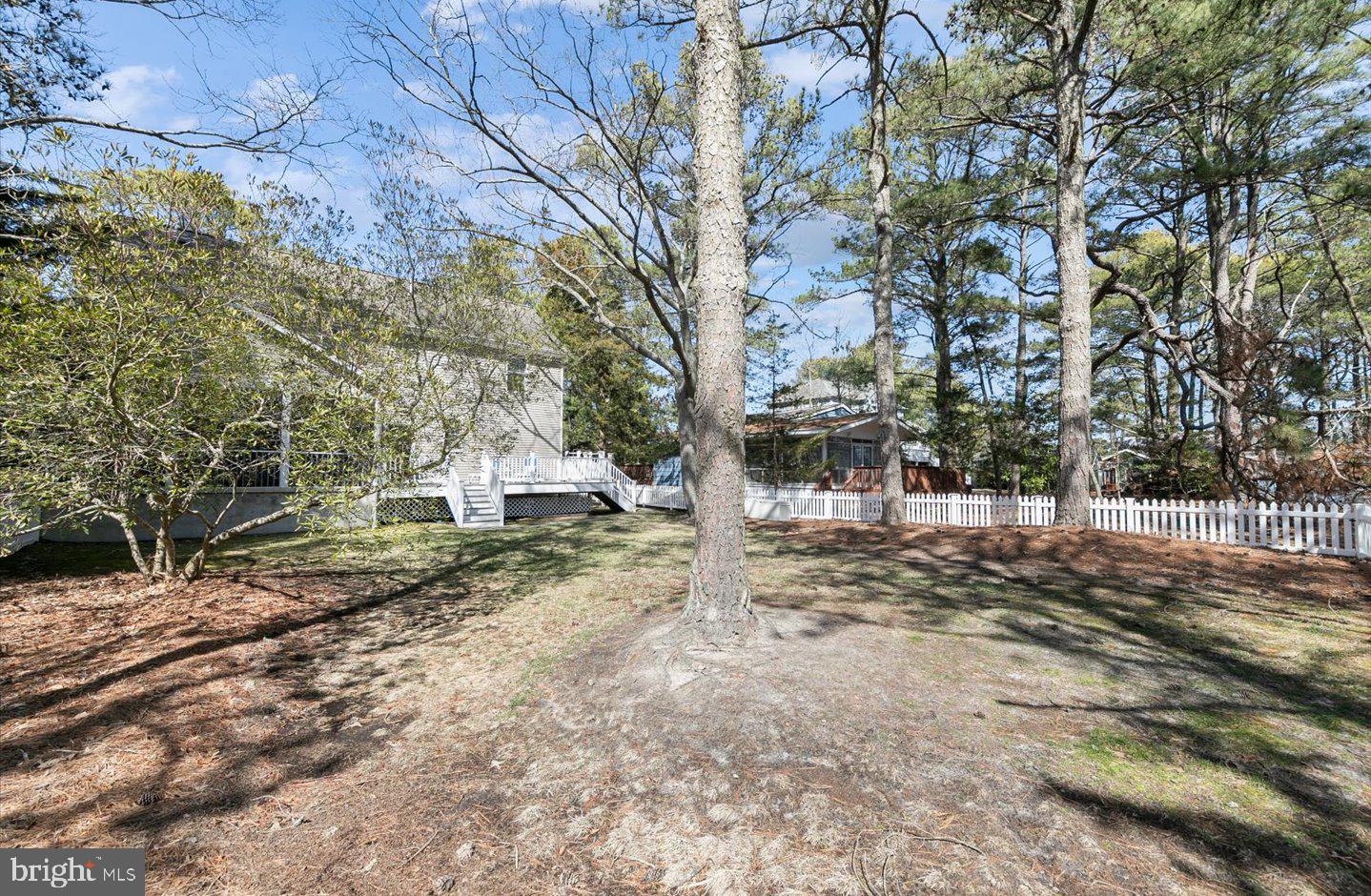 21 Cedar Road Rehoboth Beach, DE 19971 - Photo 49 of 59 a view of a yard with a tree