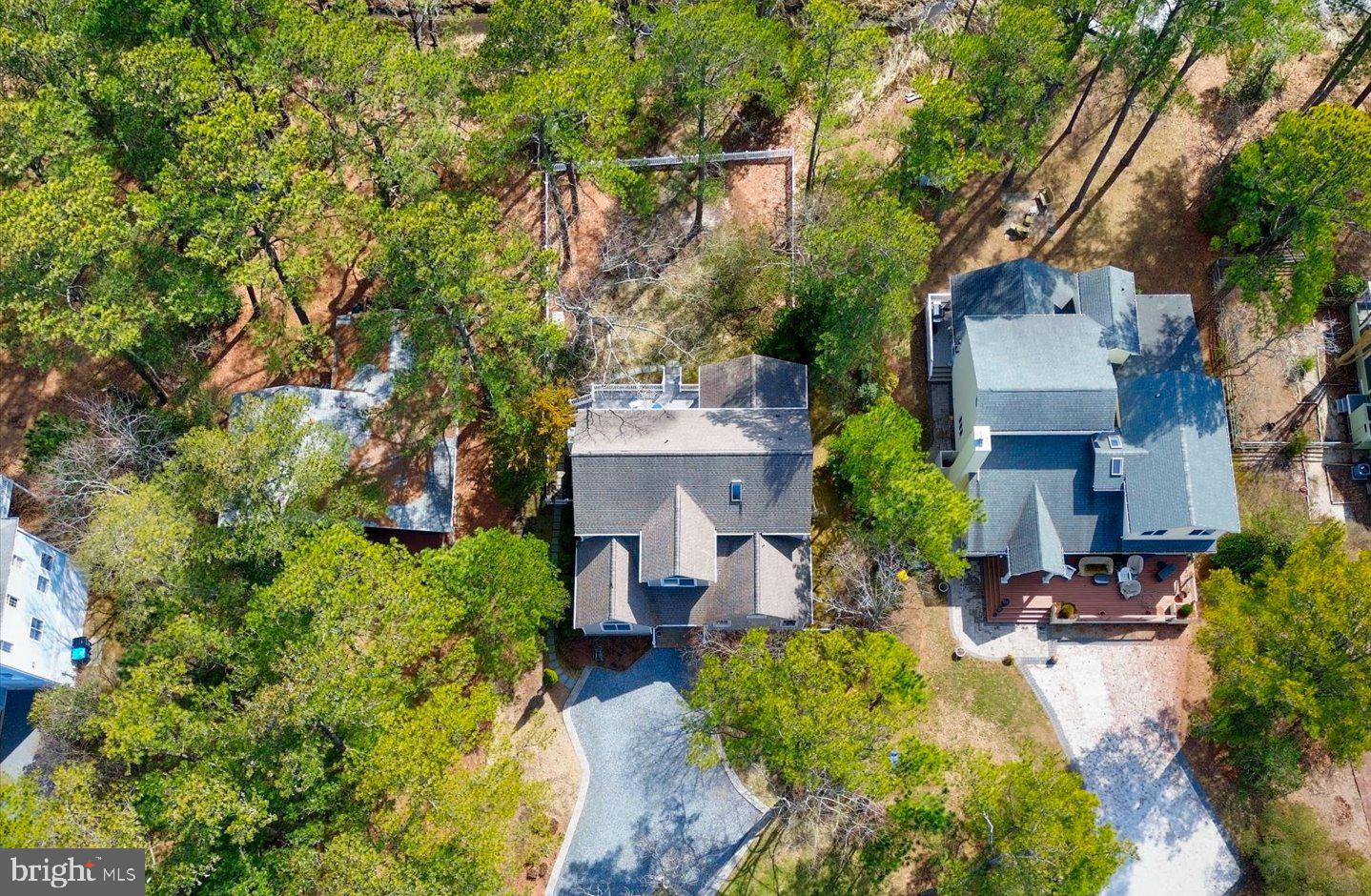 21 Cedar Road Rehoboth Beach, DE 19971 - Photo 52 of 59 a view of a house with a plants and a tree