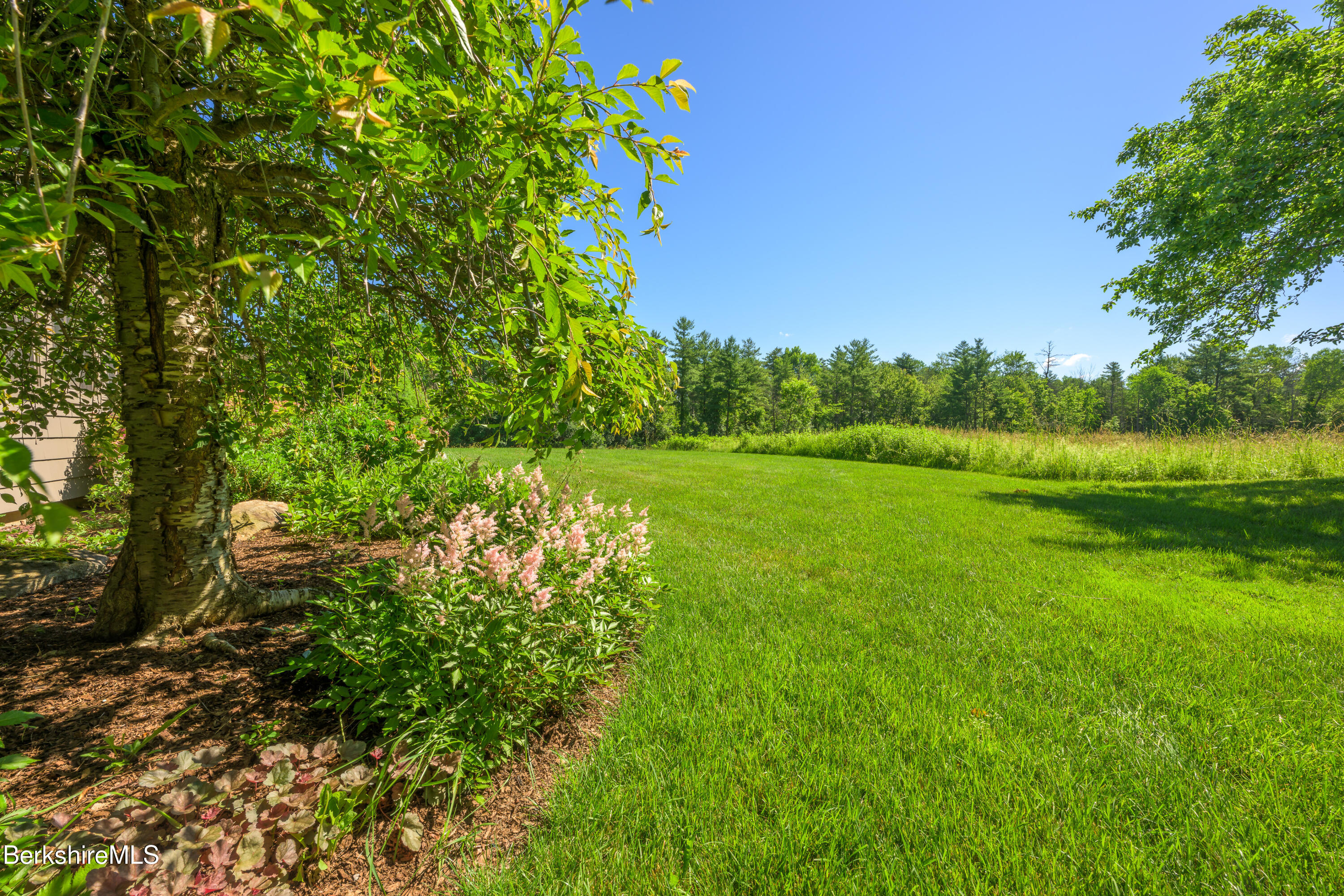 36 Yale Hill Road Stockbridge, MA 01262 - Photo 54 of 60 Side yard