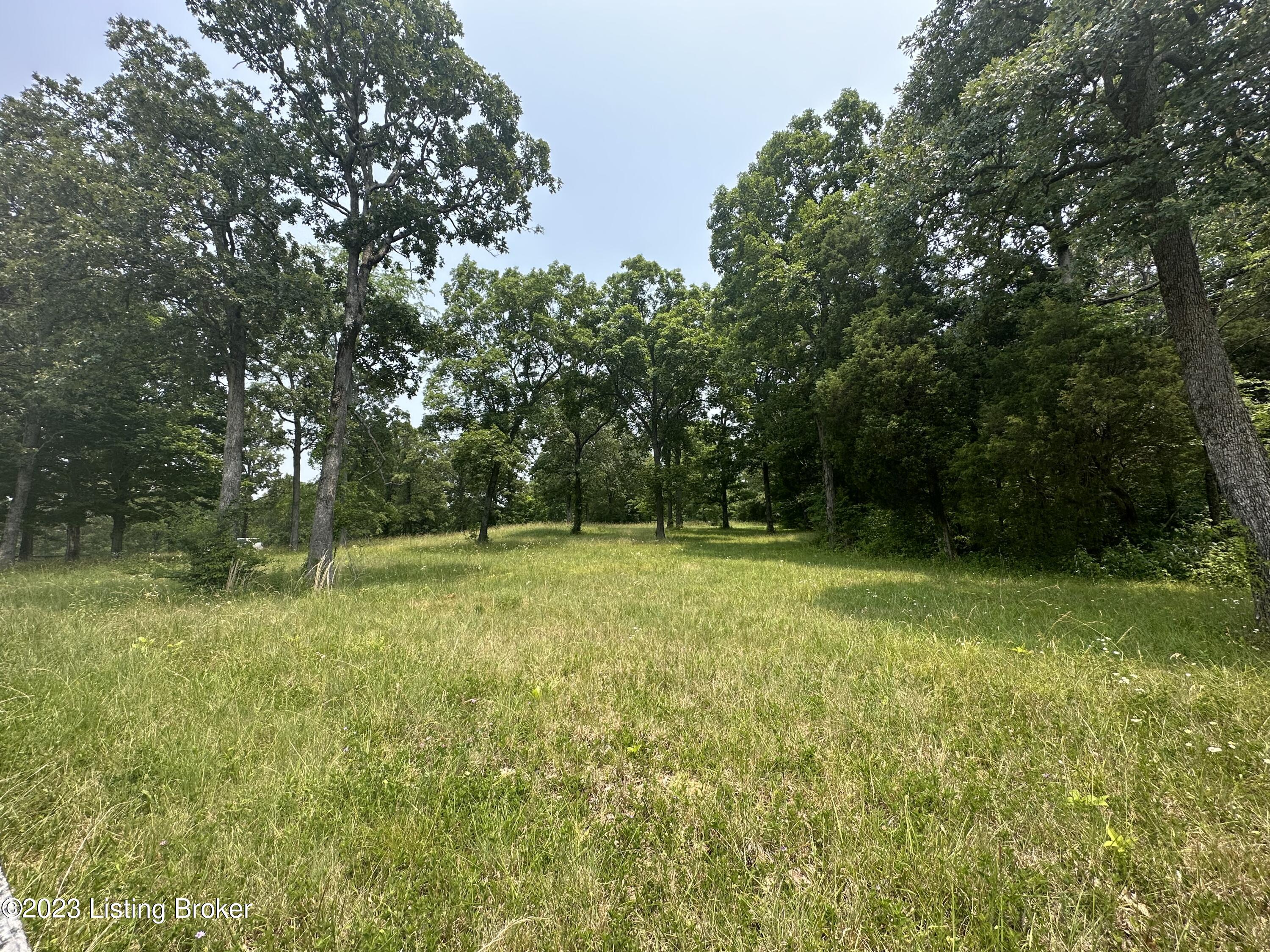 Lot Midway Midway Road Brandenburg, KY 40108 - Photo 1 of 13 IMG_3398