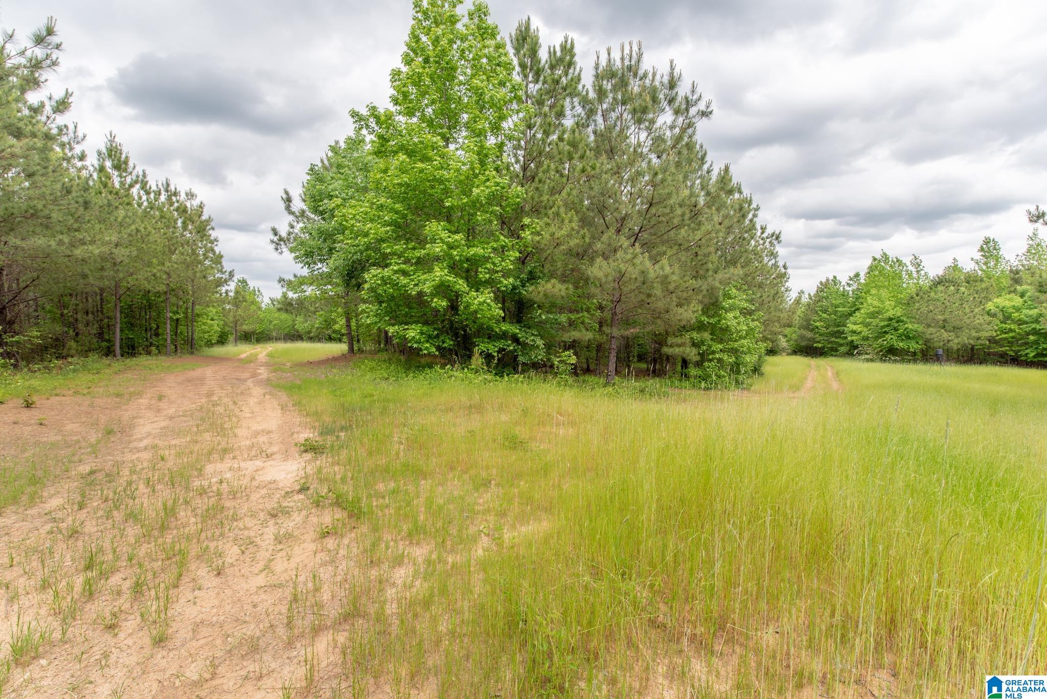 12680 Groundhog Road, Unit 1 Adger, AL 35006 - Photo 25 of 28