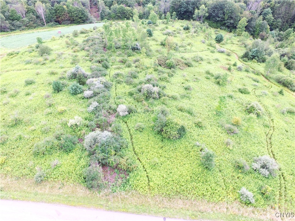 33 Pease Hill Road Whitney Point, NY 13862 - Photo 1 of 1 Gallery Image 1