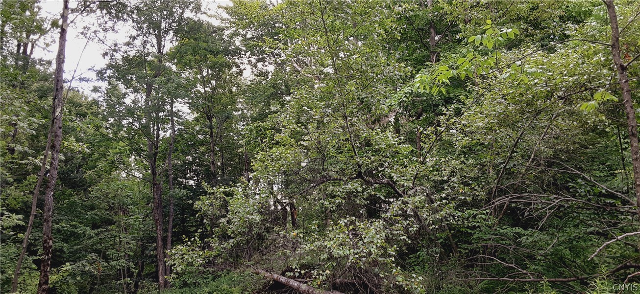 271 Snyder Road Newport, NY 13416 - Photo 15 of 41
