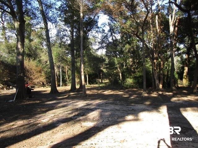 14791 Raber Road Summerdale, AL 36580 - Photo 20 of 21 View of yard