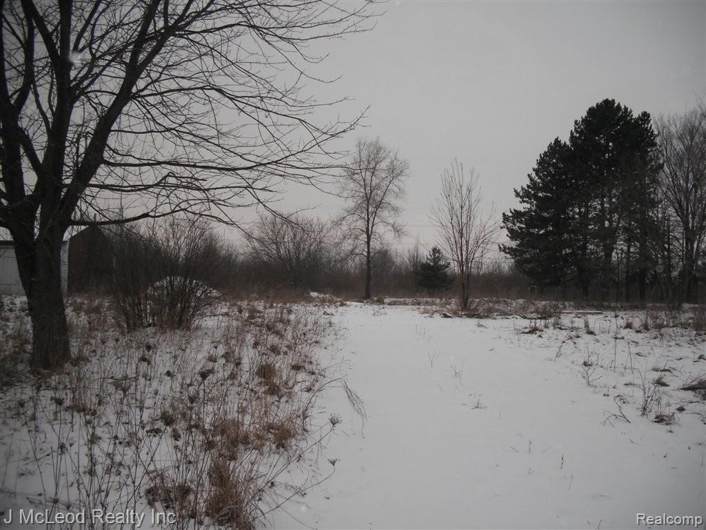 6568 Mertz Road Mayville, MI 48744 - Photo 1 of 9 Mertz 6568 009.JPG