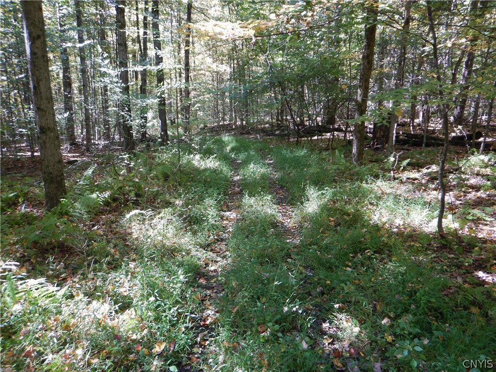 Phillips Road Windsor, NY 13865 - Photo 34 of 43 Gallery Image 34