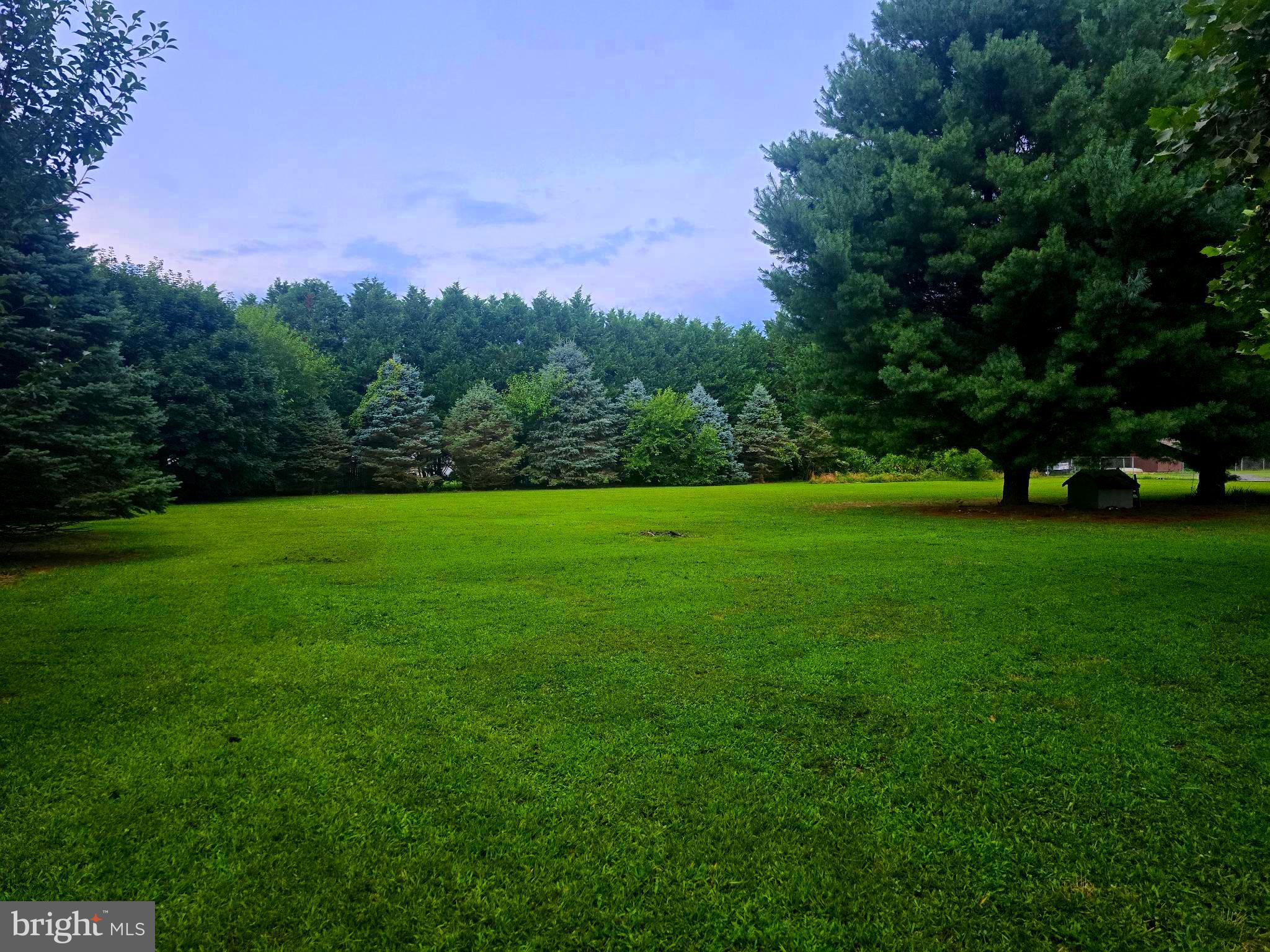 18178 Progress School Road Bridgeville, DE 19933 - Photo 36 of 49 Property lined w/ Mature Trees, plenty of privacy