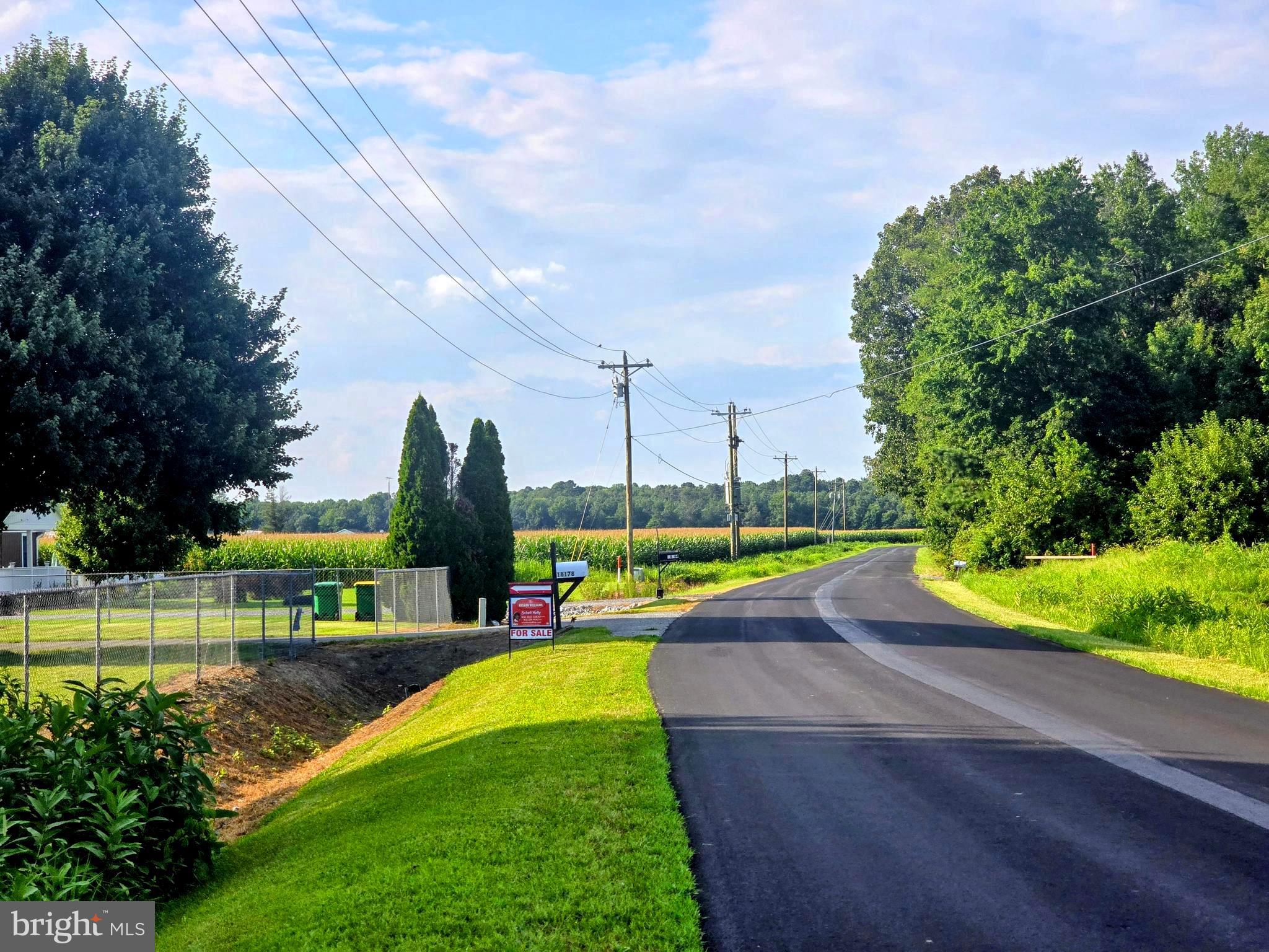 18178 Progress School Road Bridgeville, DE 19933 - Photo 4 of 49 Gorgeous Country Road