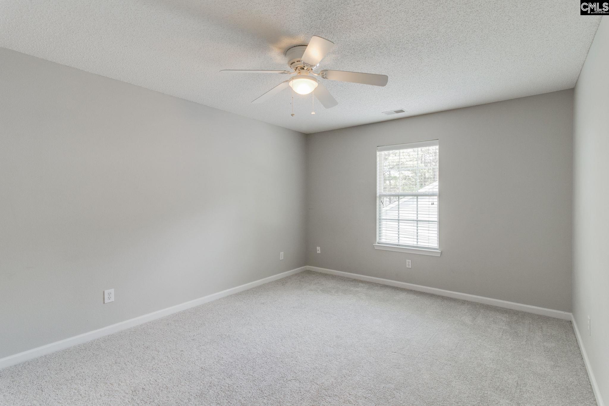 5 Redbrush Court Chapin, SC 29036 - Photo 32 of 62