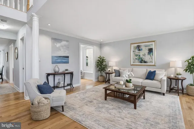 a living room with furniture potted plant and a window