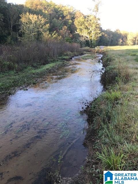 545 Watts Road, Unit 50 AC Lineville, AL 36266 - Photo 2 of 21