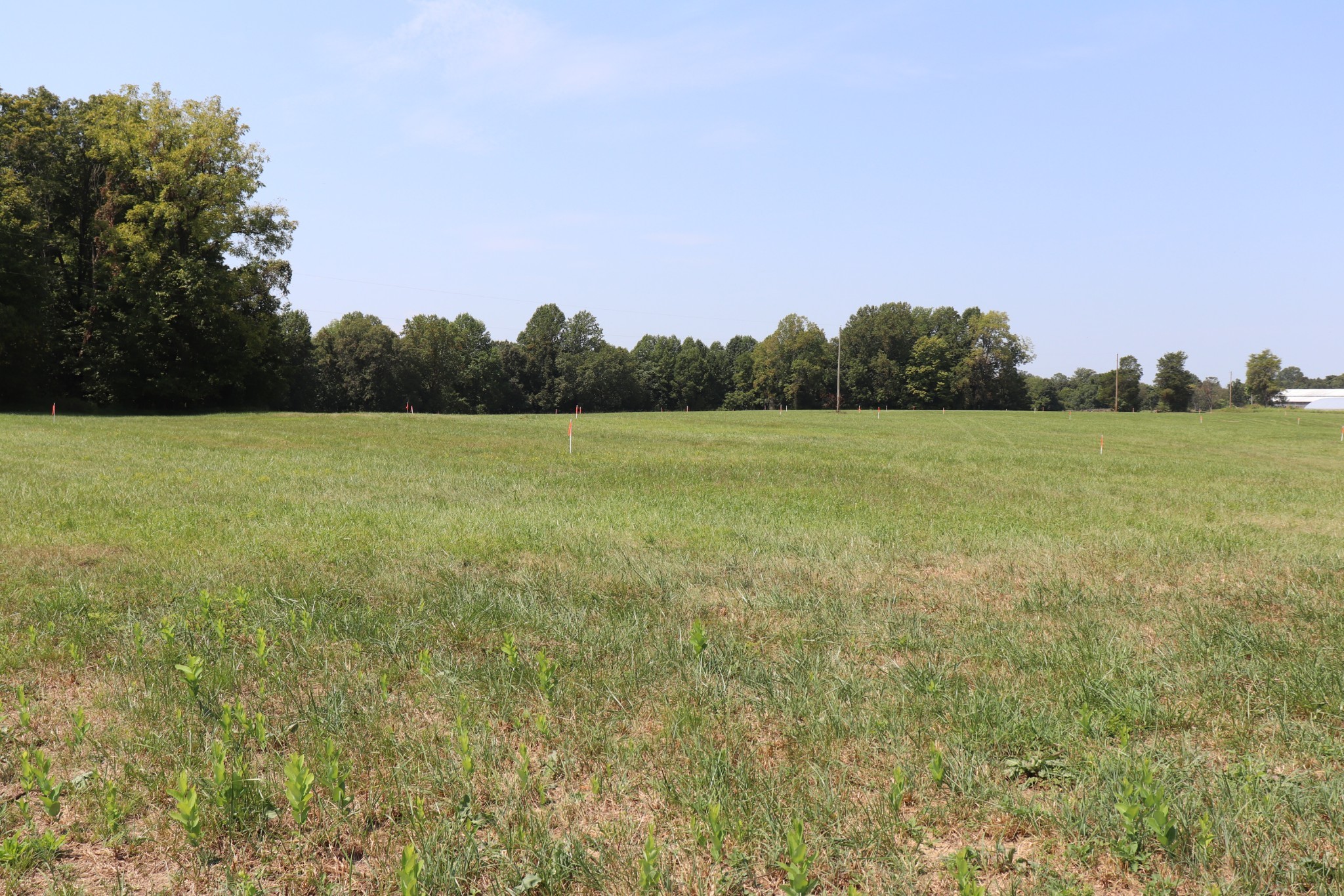 1 Hanestown Road Lafayette, TN 37083 - Photo 7 of 14 Gallery Image 7