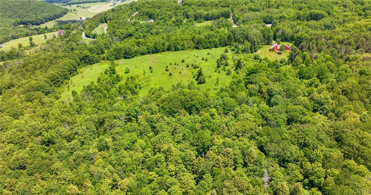 Bush Street Cobleskill, NY 12043 - Photo 12 of 12 Come view this peaceful property!