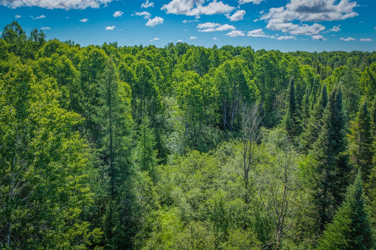 South North Hulbert Road Eckerman, MI 49728 - Photo 9 of 29