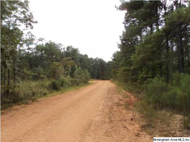 22 Highway Ac Al, Unit 89 Daviston, AL 36256 - Photo 6 of 10