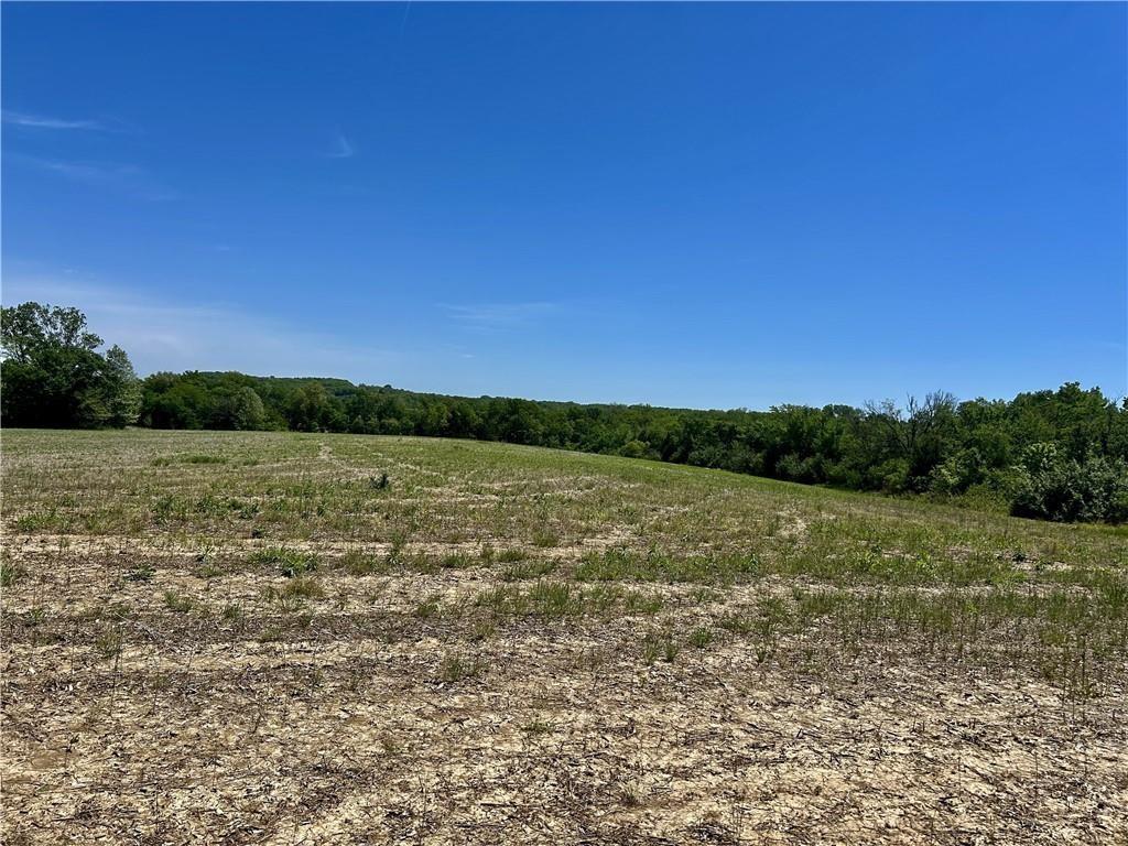 East Colbern Road Lone Jack, MO 64070 - Photo 5 of 13