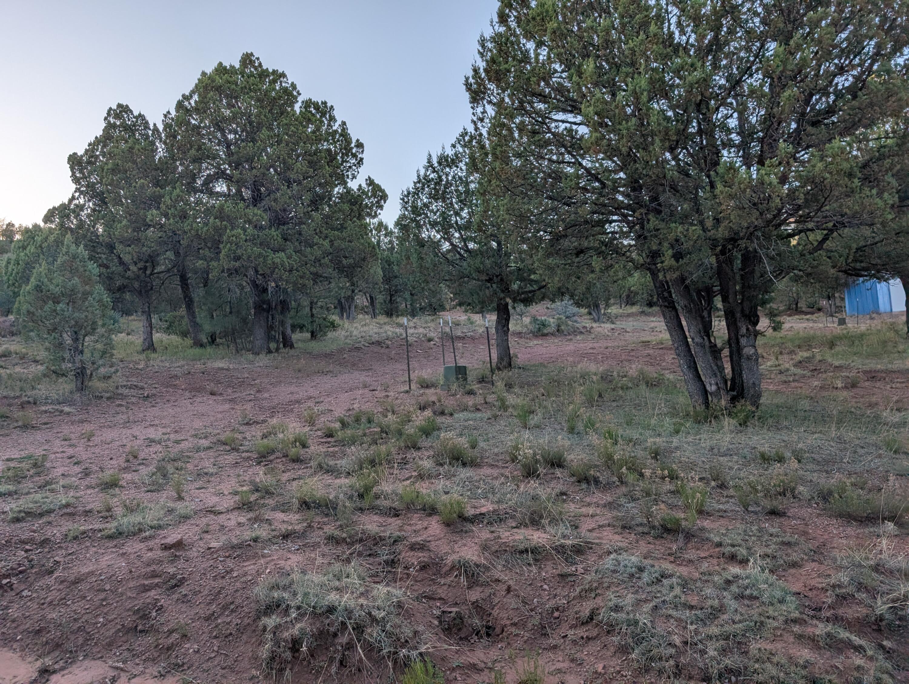 2 Zane Meadows Payson, AZ 85541 - Photo 4 of 6