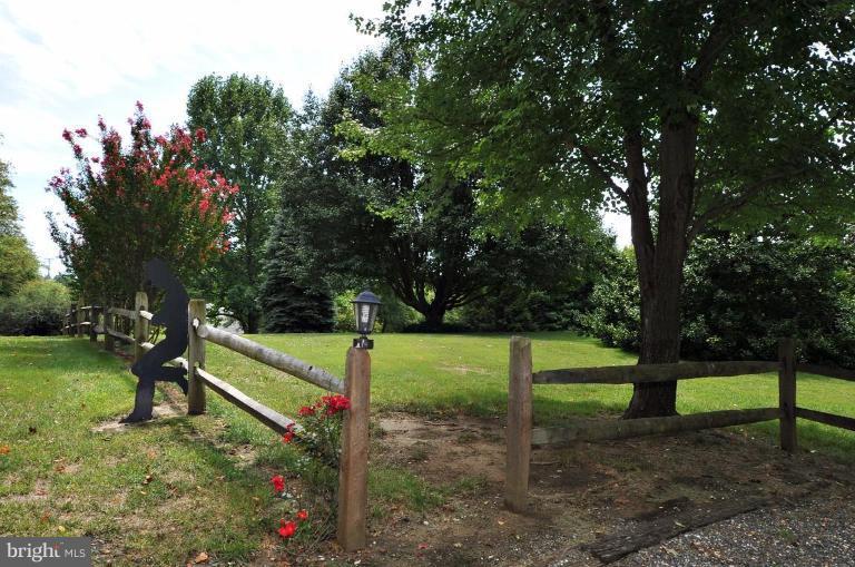 14310 Mt Oak Road Bowie, MD 20721 - Photo 3 of 30 Back yard