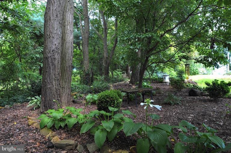 14310 Mt Oak Road Bowie, MD 20721 - Photo 4 of 30 Garden