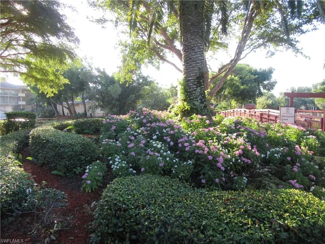 a view of a garden with plants and large trees