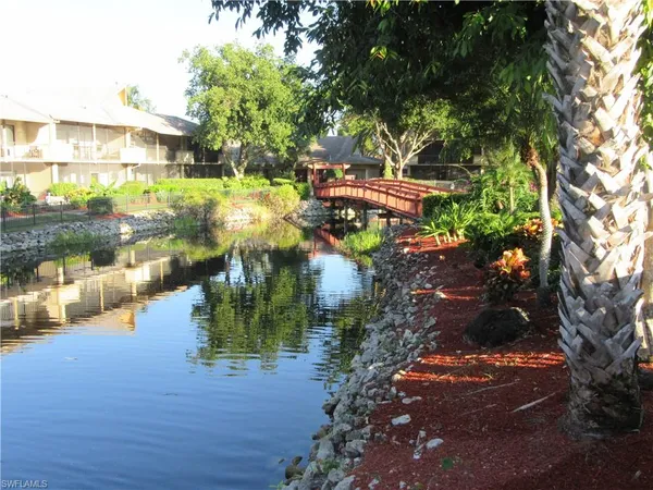 a view of swimming pool of water with lawn chairs and large trees