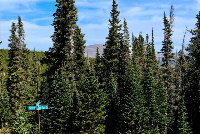 a view of a road with a trees in the background