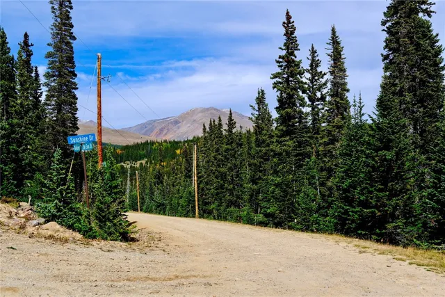 a view of a city with lush green forest