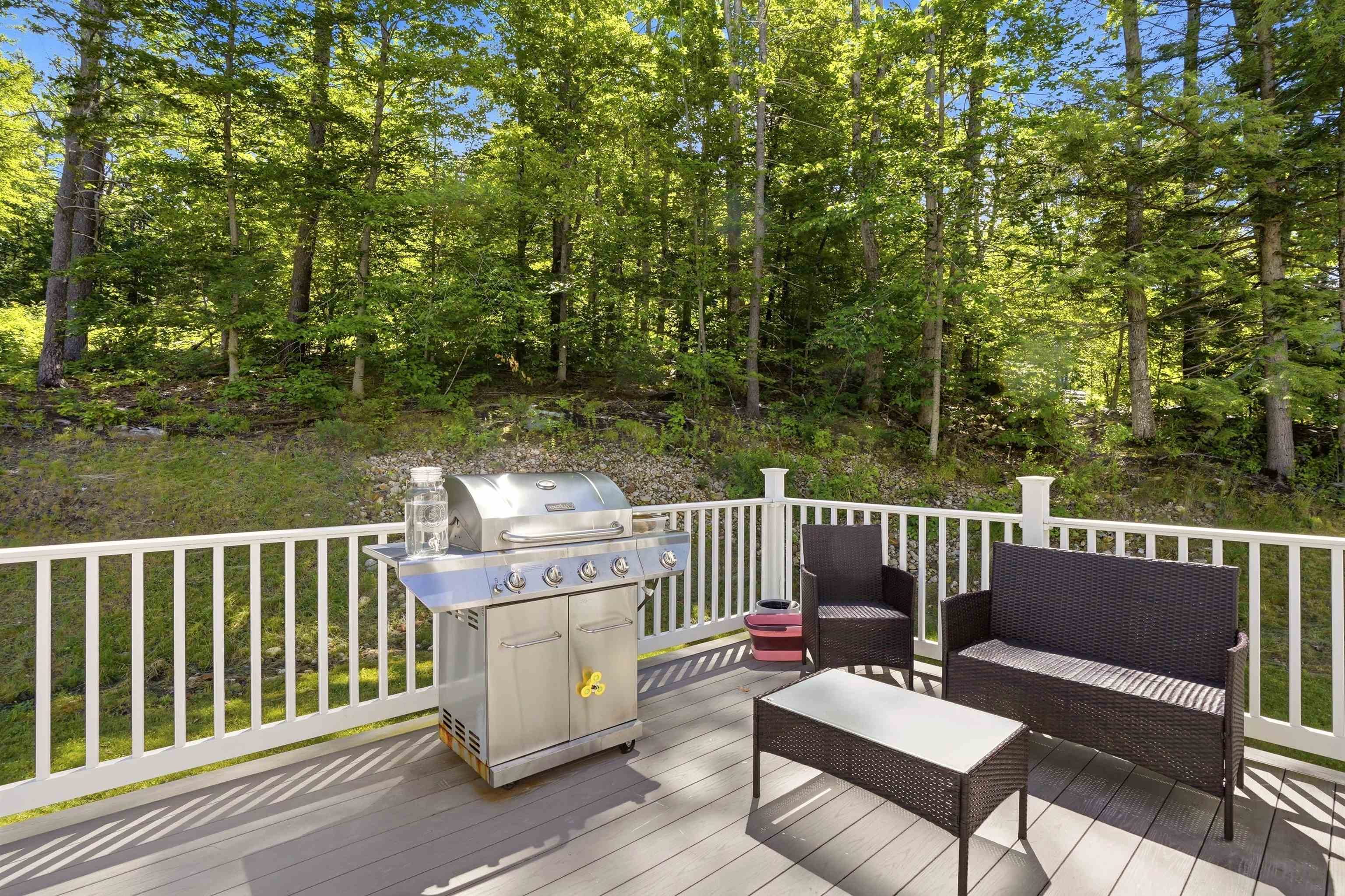 316 Montelona Road Goffstown, NH 03045 - Photo 15 of 60